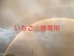 いちご☆様専用ページ