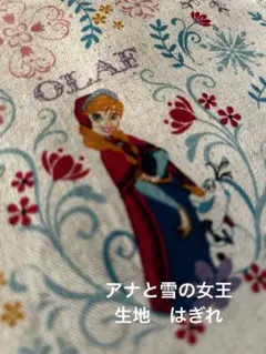 アナと雪の女王　生地　布地　おまけ付き