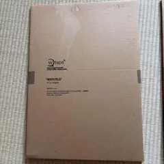 wtapsダブルタップス/非売品ポスター
