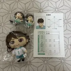 ハイキュー!! アニメイト 体力測定 ポストカード 特典 及川徹