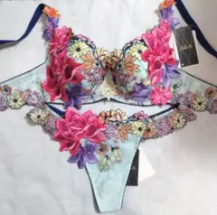 新品】サルート ブラジャー ソング セット F75 M 秋の七草 - メルカリ