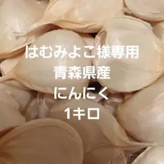 はむみよこ様専用ページです