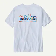 パタゴニア Tシャツ メンズ・ユニティ・フィッツ・レスポンシビリティー S