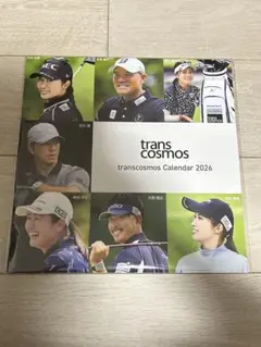 Item thumbnail for item 98826521-8598-48b8-bc7e-296e39715ef3