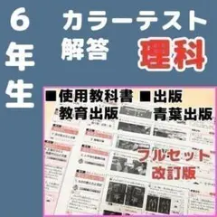 6年生 小6】算数 カラーテスト みなおしシート 復習 学習 東京書籍 正