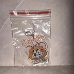 最終値下げ）ラブブ めじるしアクセサリー アンブレラマーカー