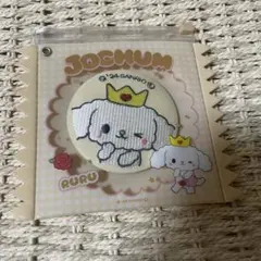 JOCHUM RURU スライダーポーチ 刺繍ミラー