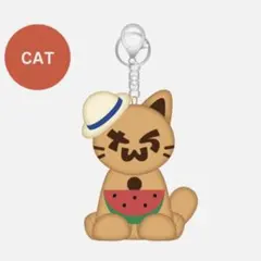 TWS SODASODA PLUSH KEYRING日焼けトゥニャンイ - メルカリ