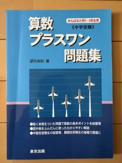 Item thumbnail for item 248fb890-b20e-4aba-9765-9c12a9866e9a