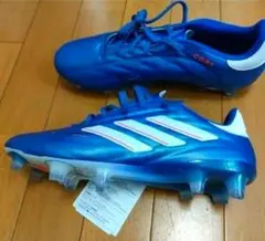 Item thumbnail for item 4b98a171-f0fc-4cde-b92c-b88290a0f322