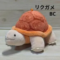 のこのこリクガメ オレンジ マスコットボールチェーン ぬいぐるみキーホルダーのサムネイル