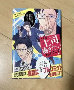 こんな上司と働きたいわけでして！