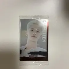 SEVENTEEN ウエハース ホシ