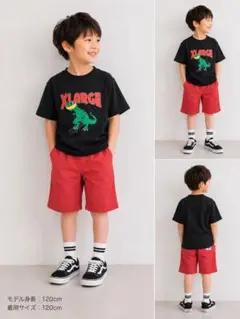 XLARGE 恐竜 スケートボード Tシャツ 120cm新品のサムネイル