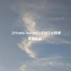 コウotto-lawyer☆プロフ必読様専用出品