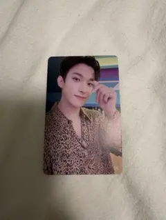 SEVENTEEN セブチ ドギョム トレカ semicolon HMV特典