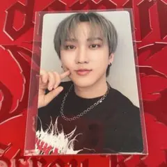 Stray Kids チャンビン domiateソウルコン流通 特典トレカ
