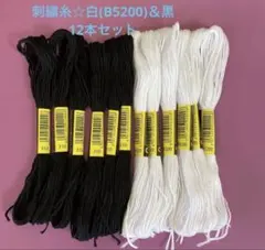 刺繍糸☆黒＆白(B5200)12本セット