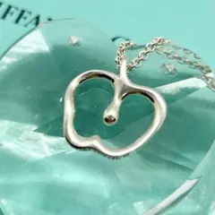 【美品】⭐️ティファニー エルサ・ペレッティ エターナル サークル 純正チェーン Tiffany &Co.エターナルサークル エルサ・ペレッティ ネックレス中古