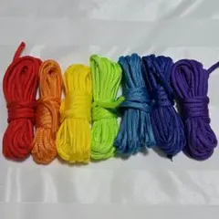 パラコード 4mm×3m レインボー