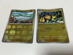 シビシラス デンチュラ 2枚セットのサムネイル