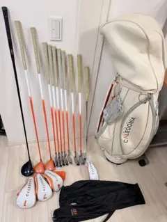 Item thumbnail for item 51fa9aa6-732f-4333-ba49-f6cd55c98e23