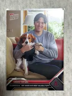 大谷翔平　TOPPSNOW アリーグMVP記念カード　デコピンとのツーショット③