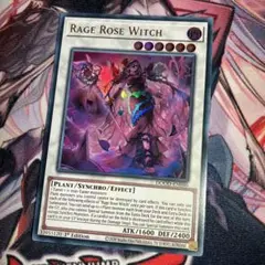 黒薔薇の破滅竜　黒薔薇と荊棘の魔女　プリシク　2枚ずつ 黒薔薇と荊棘の魔女_PSE_DOOD-JP040 のトレカ通販 | トレカエース