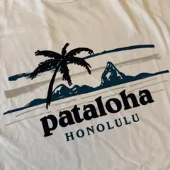 ハワイ/ホノルル限定　パタゴニア　pataloha Ｔシャツ　Mサイズ