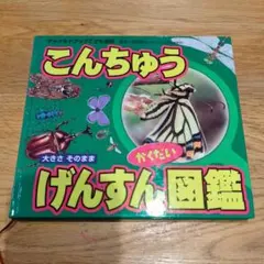 Item thumbnail for item 469cea69-d8c6-4f34-8842-8c102e7e7977