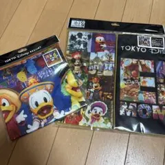 ディズニーリゾート　実写　タオルセット　ミシカ　アンコールザモーメンツ　ミニー