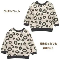 Item thumbnail for item 7a720cfc-06a9-4073-b2e4-18089d3d3166