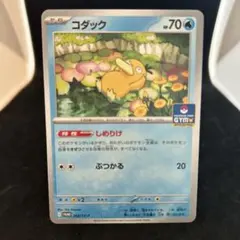 コダック　しめりけ　262/SV-P ジムプロモ　Psyduck