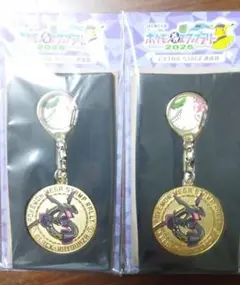ポケモンメガスタンプラリー2025 スペシャルメダル 黒いレックウザ 2個