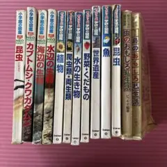 Item thumbnail for item 9ecd7e70-2103-4030-bf3b-fb704aa530e9