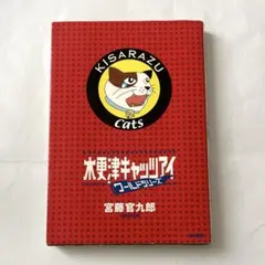 映画】木更津キャッツアイ ワールドシリーズ パンフレット 嵐 櫻井翔