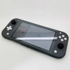 任天堂 Nintendo Switch Lite グレー HDH-001