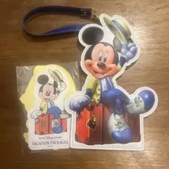 ディズニーリゾート　バケーションパッケージ　パスケース