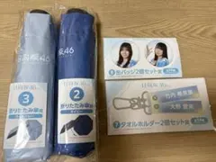日向坂46 ローソンくじ ラスト賞 フォトブックレット 折りたたみ傘