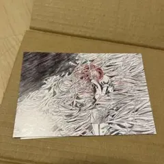 宝石の国 シンシャ ポストカード 特典