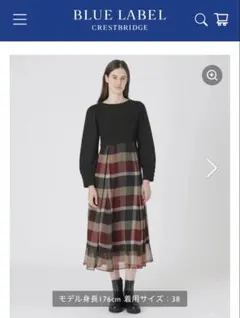 2025年最新】BLUE LABEL CRESTBRIDGE レディース ロングワンピースの