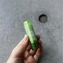 Item thumbnail for item 674bdfd9-ed9f-4613-b413-9b8fd3004966