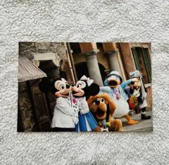 東京ディズニーリゾート　東京ディズニーシー　ポストカード　No.11