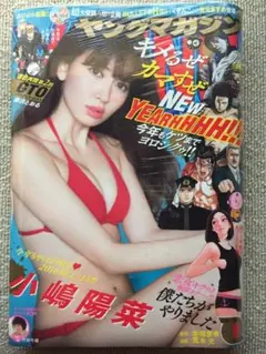 小嶋陽菜 西内まりや 新品未開封 週刊ヤングマガジン 2013年 No.1686 2025年最新】ヤンマガ 小嶋陽菜の人気アイテム - メルカリ
