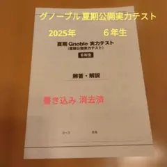 2026年最新】グノーブル国語6年春期講習の人気アイテム - メルカリ