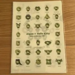 キティ ファイル