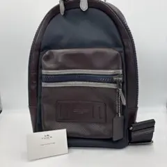 Item thumbnail for item 66e4aeeb-c72f-475b-b062-4dfcb25f1ffe