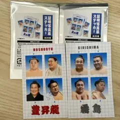 大相撲　証明写真風ステッカー　vol.1 豊昇龍&霧島