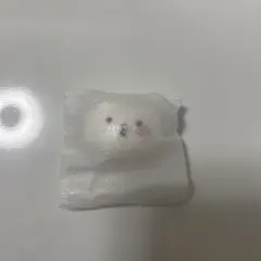 seventeen ウジ　マグネット