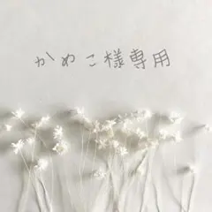 かめこ様 リクエスト 2点 まとめ商品